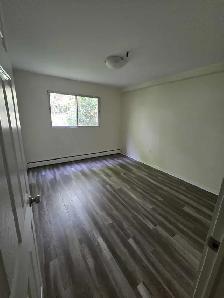 Waterfront 2BR - Reno'd - July/Aug 1st - Heat/Wat/Pkg Included! - Photo 2