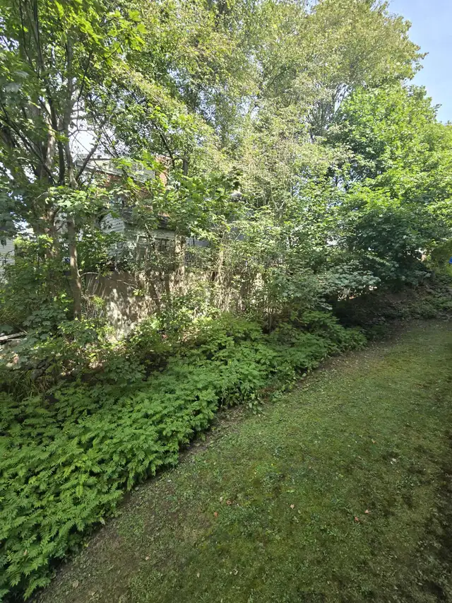 Waterfront 2BR - Reno'd - July/Aug 1st - Heat/Wat/Pkg Included! - Photo 5