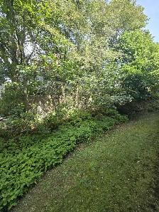 Waterfront 2BR - Reno'd - July/Aug 1st - Heat/Wat/Pkg Included! - Photo 5