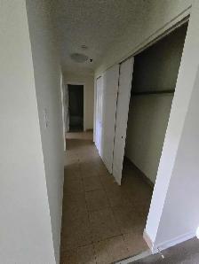 Waterfront 2BR - Reno'd - July/Aug 1st - Heat/Wat/Pkg Included! - Photo 6