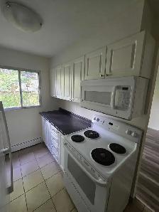 Waterfront 2BR - Reno'd - July/Aug 1st - Heat/Wat/Pkg Included! - Photo 8