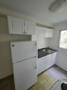 Waterfront 2BR - Reno'd - July/Aug 1st - Heat/Wat/Pkg Included! - Photo 9