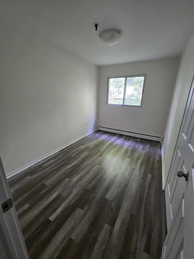 Waterfront 2BR - Reno'd - July/Aug 1st - Heat/Wat/Pkg Included! - Photo 10