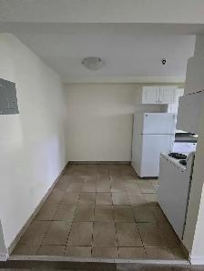 Waterfront 2BR - Reno'd - July/Aug 1st - Heat/Wat/Pkg Included! - Photo 12