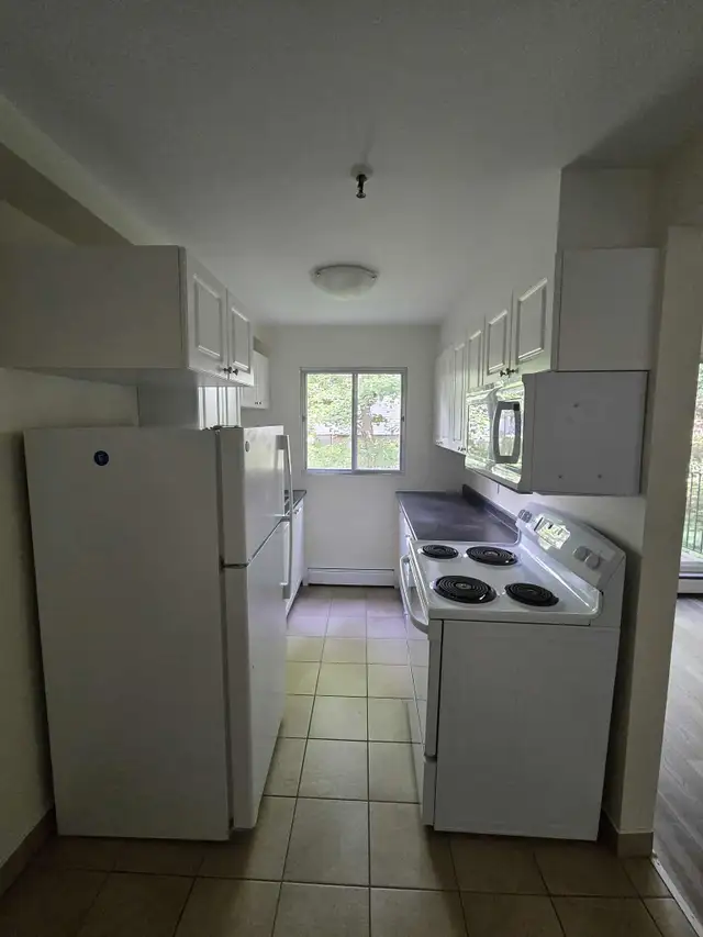 Waterfront 2BR - Reno'd - July/Aug 1st - Heat/Wat/Pkg Included! - Photo 14