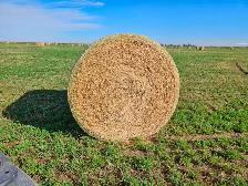 Hay for Sale