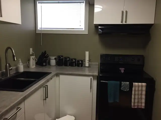 SPACIOUS AND CONFORTABLE TWO BEDROOM APARTMENT - Photo 5