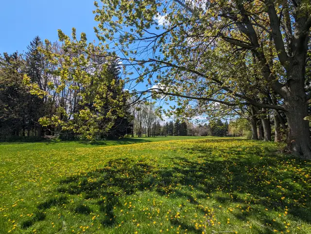 4½ meublé tout inclus – 2 chambres – Disponible avril – 2400$/mo - Photo 19