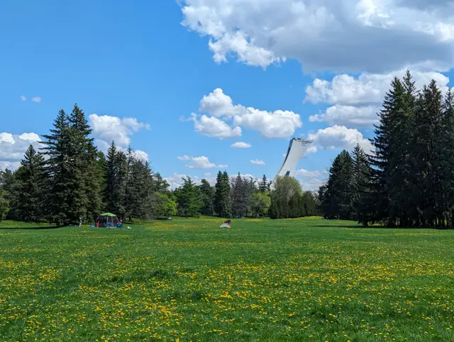 4½ meublé tout inclus – 2 chambres – Disponible avril – 2400$/mo - Photo 22