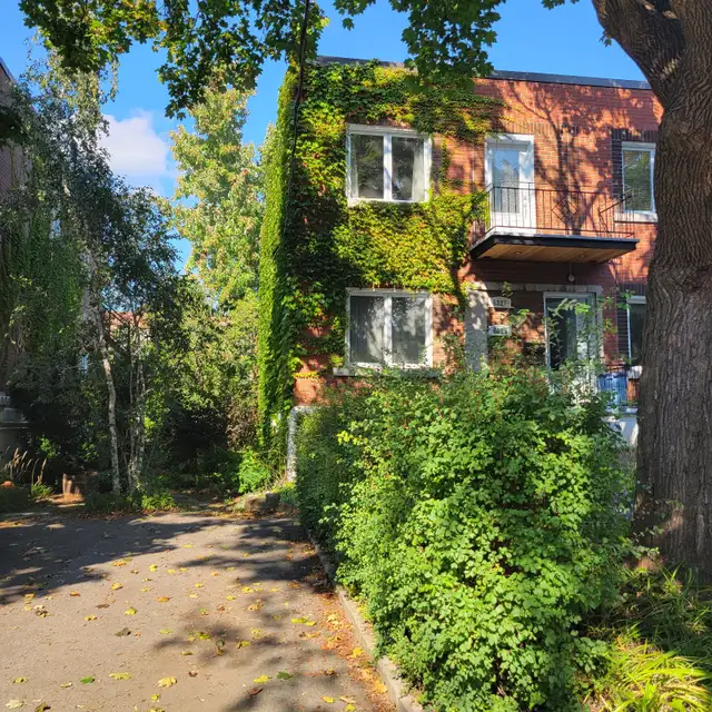 4½ meublé tout inclus – 2 chambres – Disponible avril – 2400$/mo - Photo 26