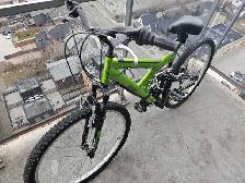 Mountain bike