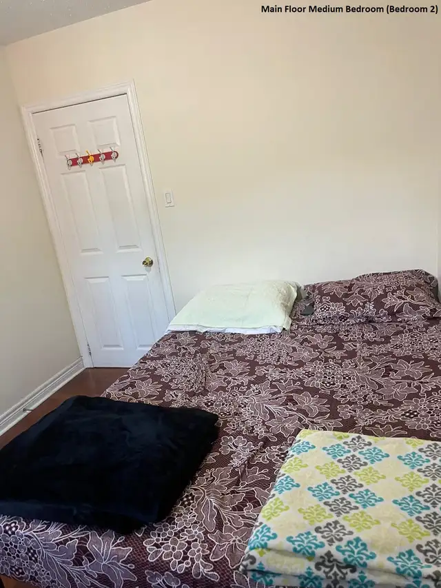 Main Floor Room near Centennial & UTSC