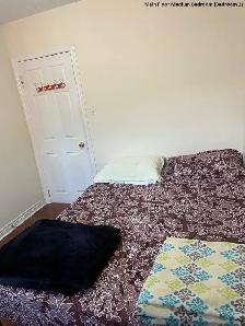 Main Floor Room near Centennial & UTSC