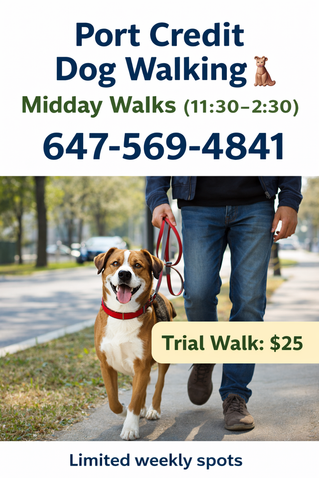 Port Credit Dog Walker | Midday Dog Walking Mississauga