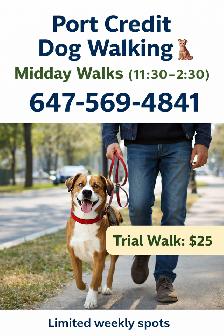 Port Credit Dog Walker | Midday Dog Walking Mississauga
