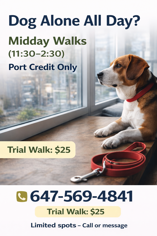 Port Credit Dog Walker | Weekday Midday Walks Available