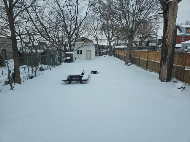 All inclusive 2 bedrooms Apt. CLEAN and quiet, available for May - Photo 4