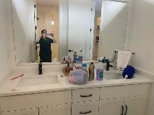 Professional Standard Cleaning