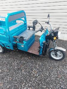 IRET13 ELECTRIC WHEEL DUMP CART