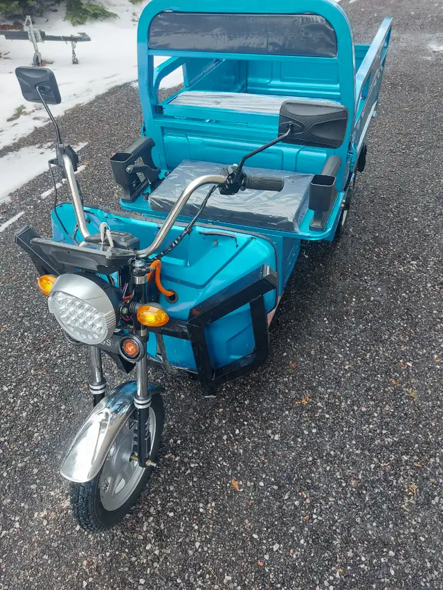 IRET13 ELECTRIC WHEEL DUMP CART - Photo 2
