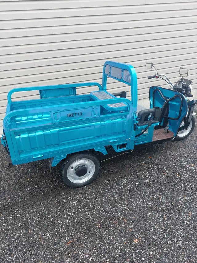 IRET13 ELECTRIC WHEEL DUMP CART - Photo 3