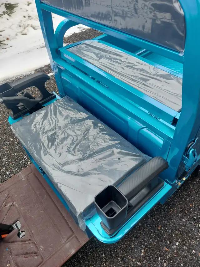 IRET13 ELECTRIC WHEEL DUMP CART - Photo 4