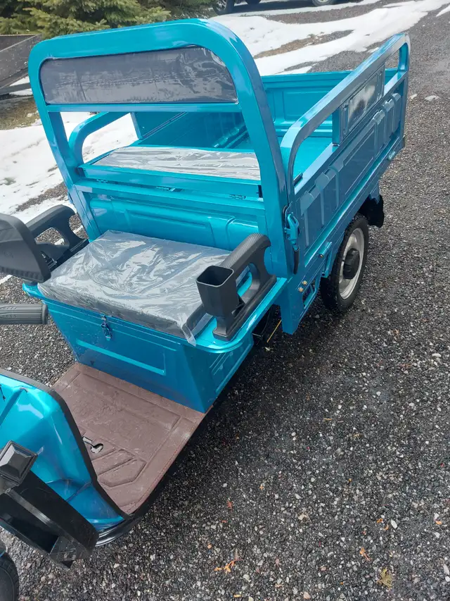 IRET13 ELECTRIC WHEEL DUMP CART - Photo 5