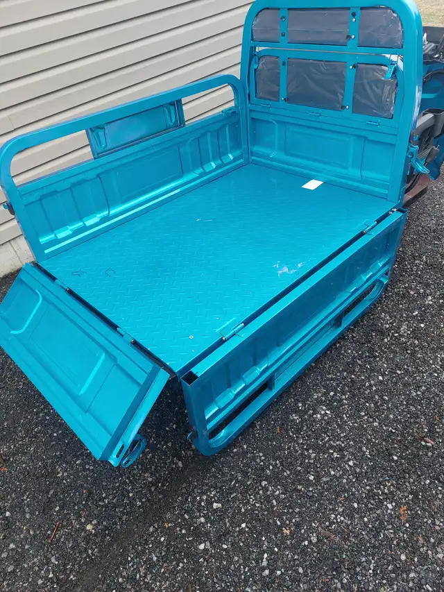 IRET13 ELECTRIC WHEEL DUMP CART - Photo 8