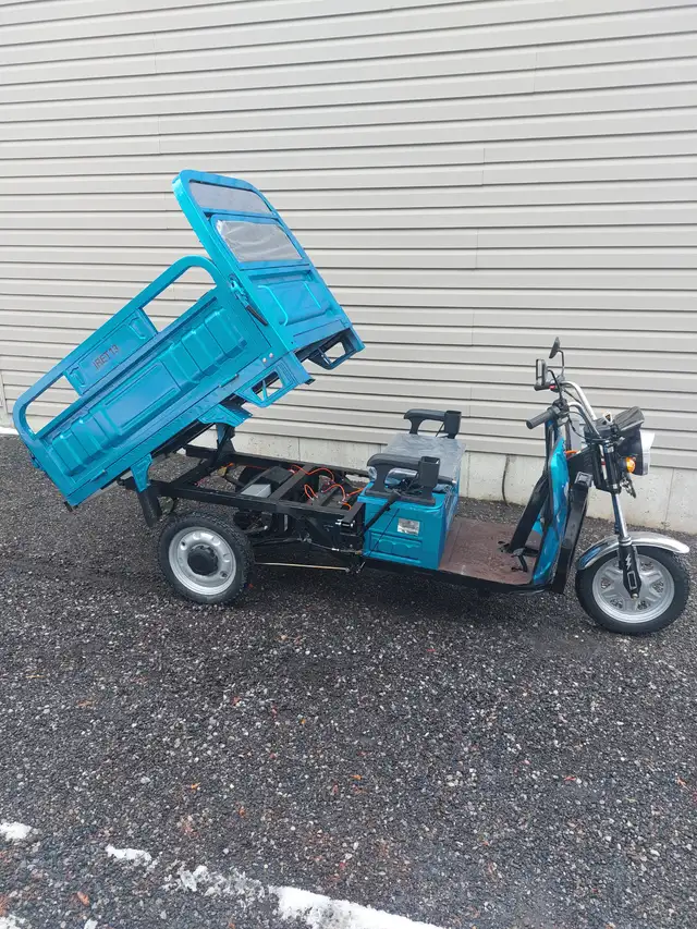 IRET13 ELECTRIC WHEEL DUMP CART - Photo 10