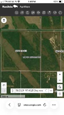 Pasture Land for sale - Photo 4