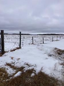 Pasture Land for sale - Photo 6