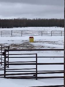 Pasture Land for sale - Photo 9