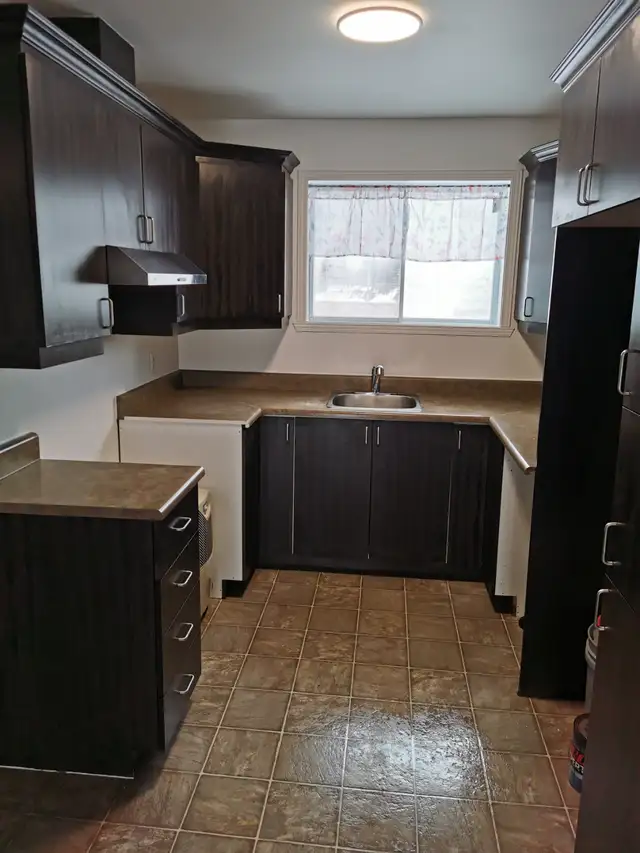 Grand 4 1/2 récent - Photo 2