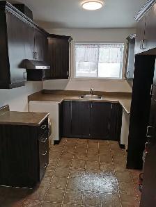 Grand 4 1/2 récent - Photo 2