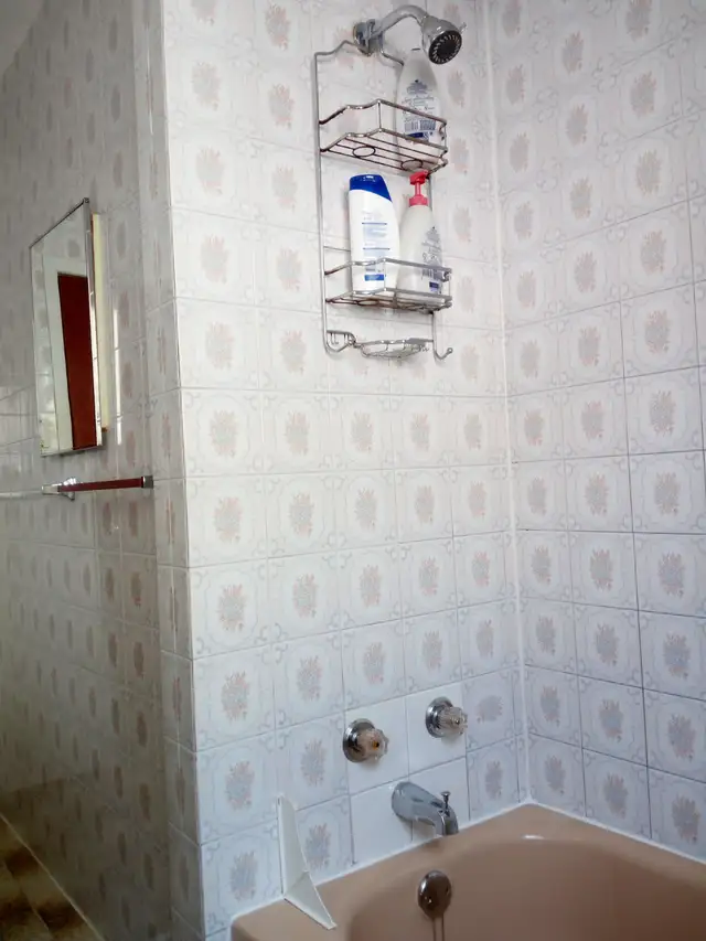 Large 3-bedroom apartment in Meadowlands Dr. near CU and AC - Photo 9