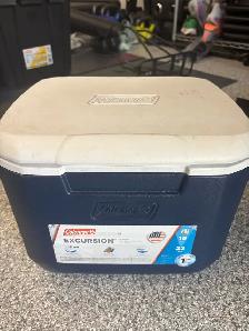Small Coleman Cooler - FREE
