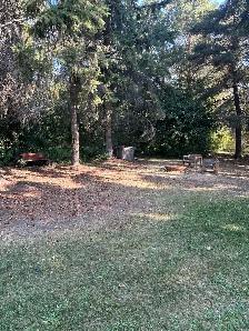 Rural living-Basement Suite on Farm near Millet, Ab