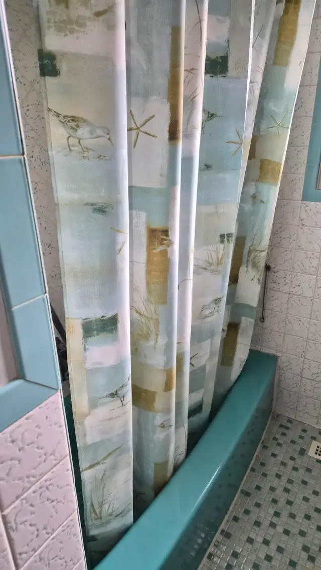 3 Bed  Room House For Renat Near Humber Collage - Photo 10