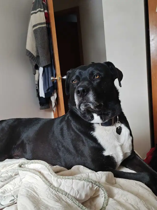 everything must go - Photo 9