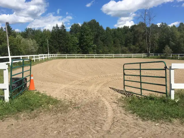 horse boarding available - Photo 2