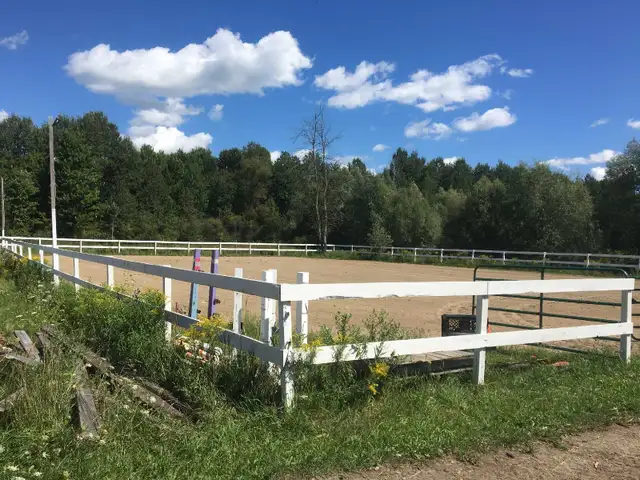 horse boarding available - Photo 3