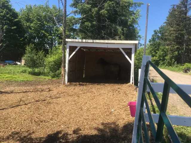 horse boarding available - Photo 4
