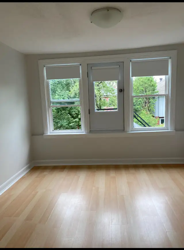 OLD OTTAWA SOUTH - 2 BEDROOM APT! - Photo 6