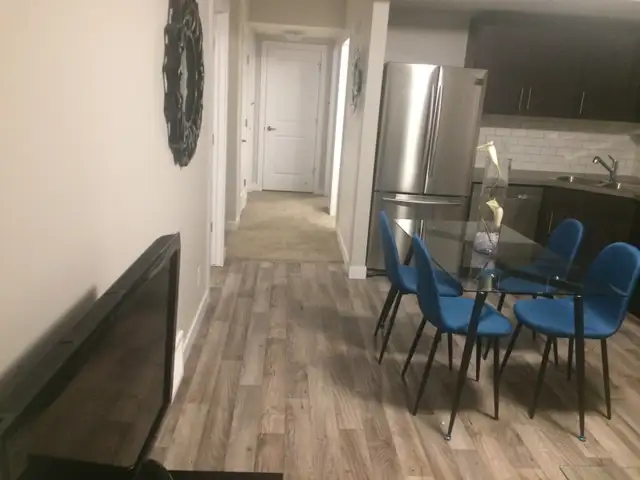 NEW FURNISHED 2 BEDROOM BASEMENT! LEGAL SUITE! - Photo 4