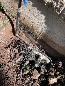 Protect Your Landscape Investment