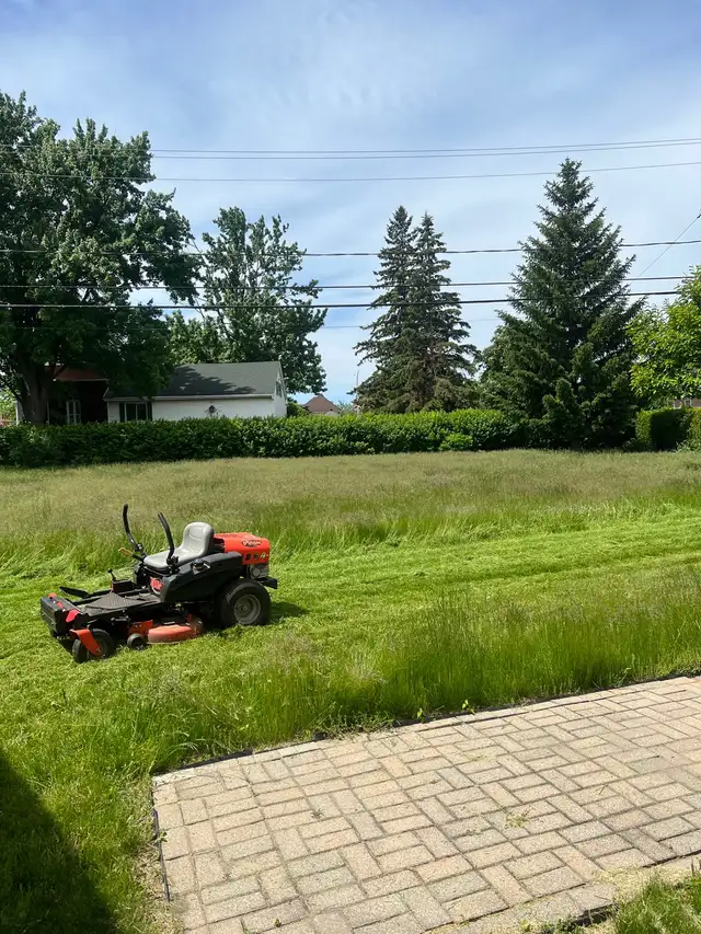 coupe de pelouse ( tonte de pelouse) - Photo 3