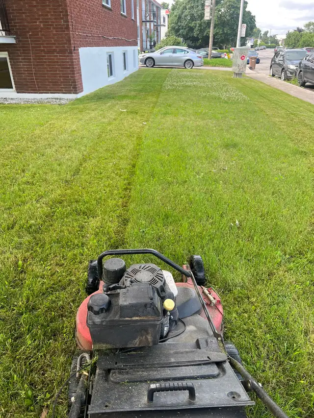 coupe de pelouse ( tonte de pelouse) - Photo 4