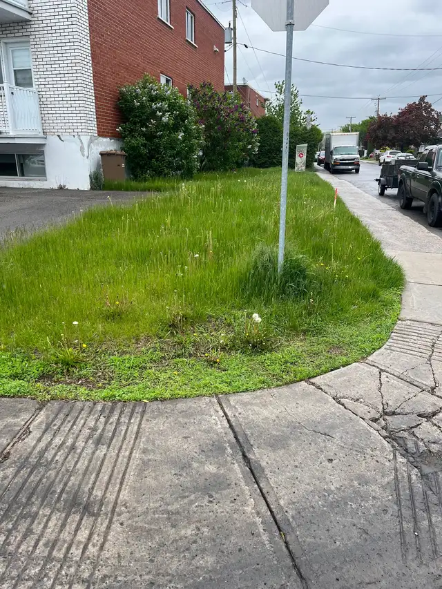 coupe de pelouse ( tonte de pelouse) - Photo 5