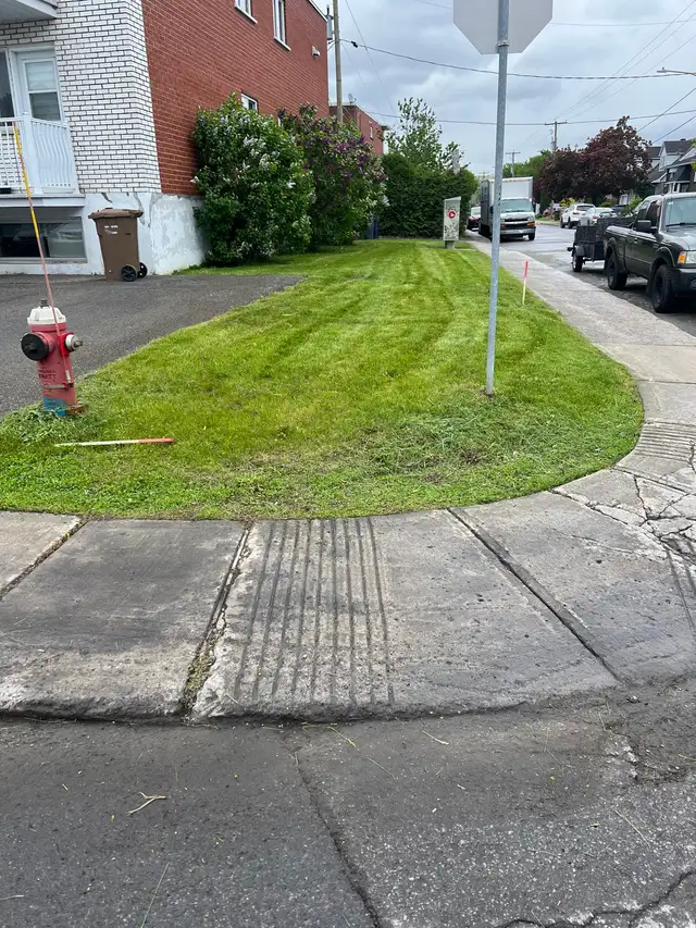 coupe de pelouse ( tonte de pelouse) - Photo 6