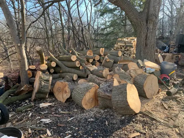 SEASONED FIREWOOD - Photo 5